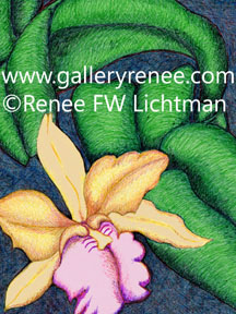 "Stained Glass Cattleya" Ballpoint Pen, Orchid Art Gallery, Fine Art for Sale from Artist Renee FW Lichtman