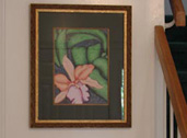 Cropped Cattleya Print Framed,  Fine Art for Sale, Framed Art Gallery, Artist Renee FW Lichtman
