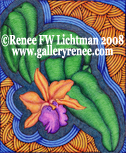 Stained Glass Cattleya Fine Art for Sale,Orchid Art, Ballpoint Pen Art, Artist Renee FW Lichtman