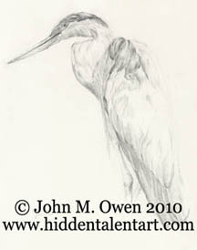 "Blue Heron" Animalc Art Gallery,Graphite Pencil Drawing from Artist John Owen