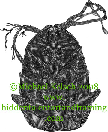 "Laughing Beetle" Fantasy Art Gallery, Pen and Ink Drawing from Artist Michael Kelsch