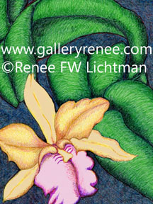 "Cropped Cattleya"  Botanical Art Gallery,  Ballpoint Pen Art  From Renee FW Lichtman