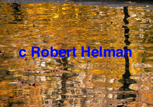 "Golden Water" - Landscape Art Gallery Open Edition Photographic Art From Robert Helman