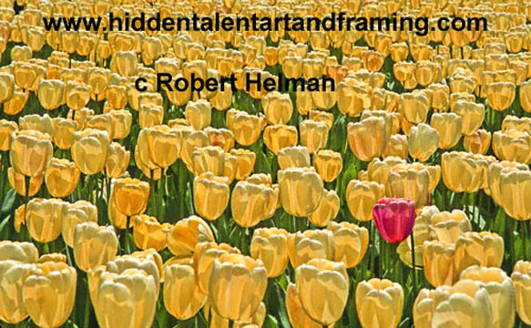 "Tulip Be Yourself" Botanical Art Gallery, Photographic art from Robert Helman